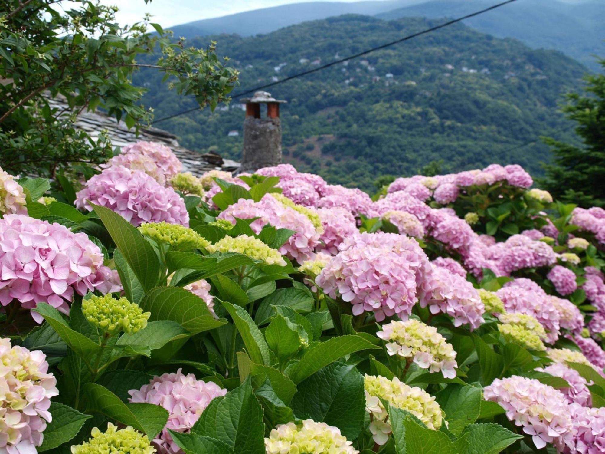 Villa Zina Áyios Dhimítrios Esterno foto